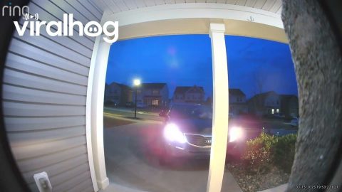 Forgetting To Park The Car When Checking The Locks || ViralHog