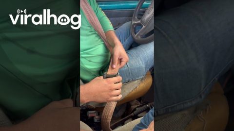 Tow Strap Made Into Improvised Seatbelt || ViralHog