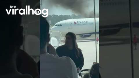 Crowd Watches Delta Plane Catch Fire From Airport Terminal || ViralHog