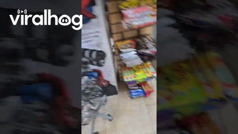 Squirrel Uses a Fake Out to Steal a Twix || ViralHog