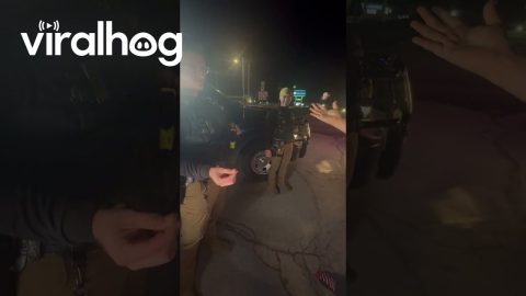 Magician Gets Out of Speeding Ticket || ViralHog