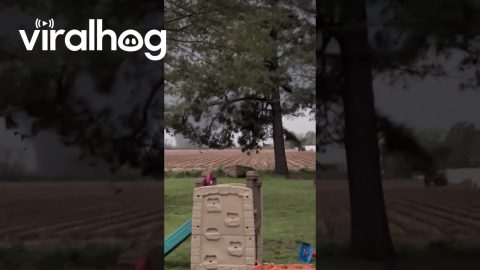 Arkansas Tornado Moves Through Craighead County || ViralHog