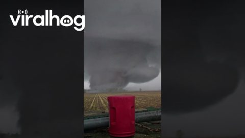Tornado Tears Through Rural Arkansas || ViralHog