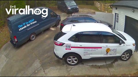 Delivery Drivers Work Together To Free Truck || ViralHog