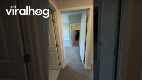 Inspector Notices Goofily Swapped Doors || ViralHog