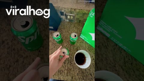 Wrong Soda Pours From Can || ViralHog