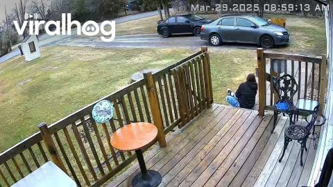 Woman Slips and Falls Hard on Icy Porch || ViralHog