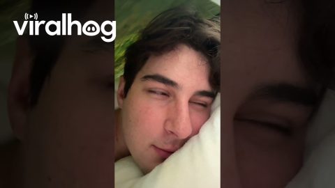 Fallen Canvas Causes Morning Headache || ViralHog