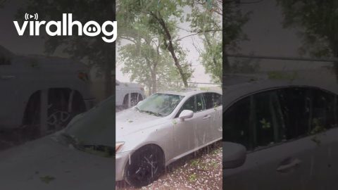 Lovington Hail Storm Pelts Parked Cars || ViralHog