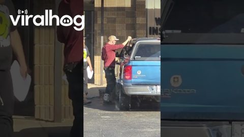Man Gets Into Scuffle With Raccoon in Truck || ViralHog