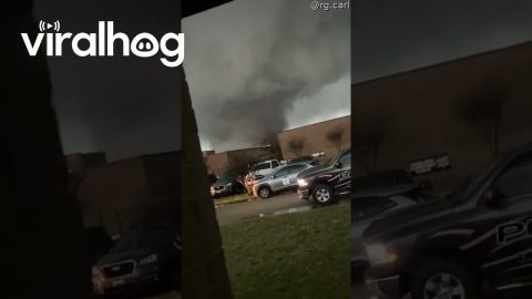 Massive Tornado in Lake City, Arkansas || ViralHog