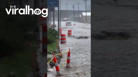 Cars Driving Down Flooded Street in Omaha || ViralHog