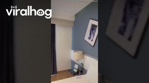 Bangkok Earthquake Sways Picture Frames || ViralHog