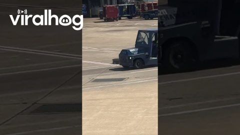 Luggage Gets Left Alone On Tarmac || ViralHog