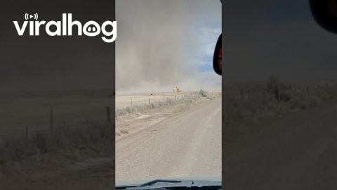 Driving Through Massive Dirt Devil || ViralHog