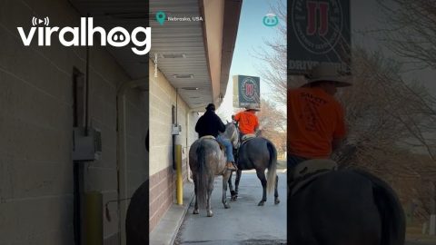 Cowboy Drive-Thru || ViralHog