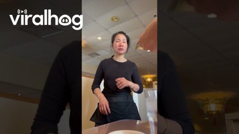 Kind Server In Tears Over Generous Tip || ViralHog