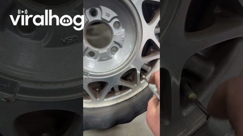 Bad Rubber Gives Tire The Mumps || ViralHog