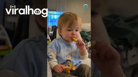 Struggling To Not Fall Asleep While Eating Dino Nuggets || ViralHog