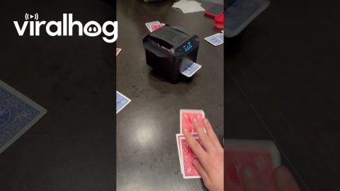 Robot Shuffles and Deals Cards at Family Game Night || ViralHog