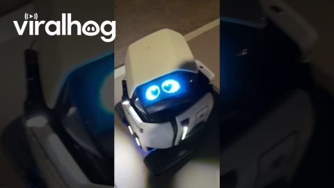 Heart-Eyed Robot Coming For Your Girl || ViralHog
