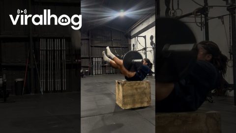 Gym Near Miss || ViralHog