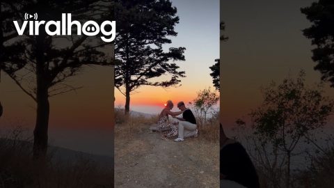 Sunset Fit Check Turned Proposal || ViralHog