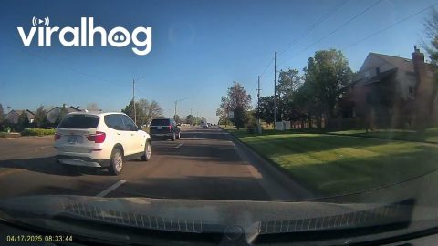 Loose ATM Money Goes Flying in the Wind || ViralHog