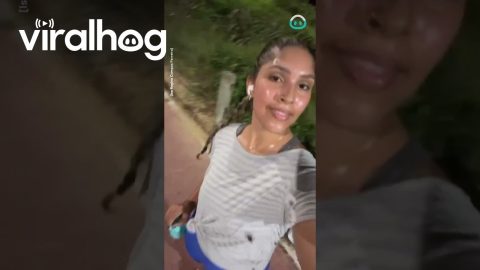 Cockroach Runs Into Runner's Selfie || ViralHog