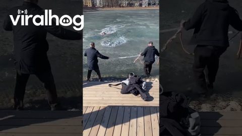 Dog Rescuer Also Gets Saved From Icy Pond || ViralHog