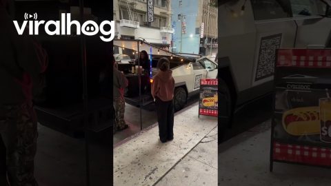 Cybertruck Hot Dog Stand || ViralHog