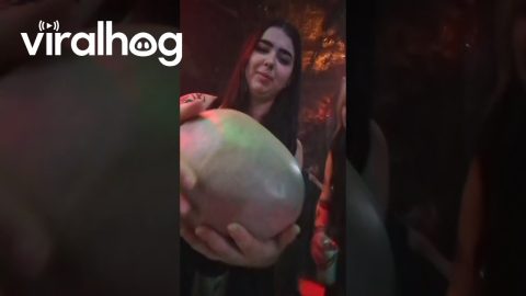 Massive Rock Is Really Bald Head || ViralHog