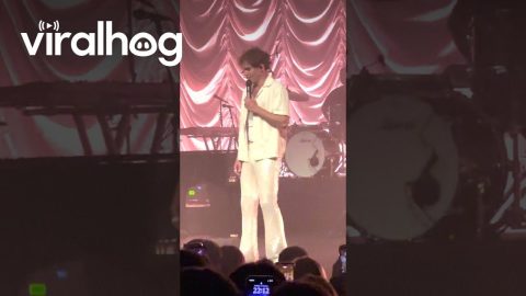 Loose Thread Ties Sparkly Pants Together At Knees || ViralHog