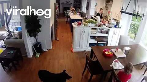 Mom Confused By Daughter's Fart || ViralHog