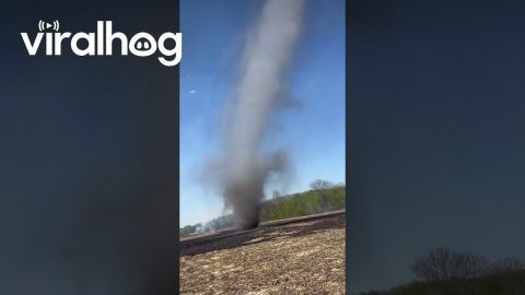 Dust Devil Spins In Kentucky Cornfield || ViralHog
