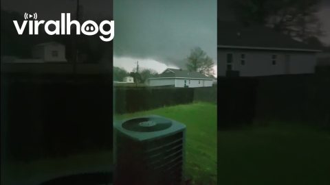 Tornado In Bay, Arkansas || ViralHog