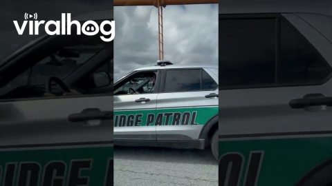 Grandma Scootin' Past the Cops || ViralHog