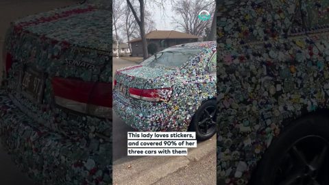 Woman Has Three Cars Completely Covered in Stickers || ViralHog