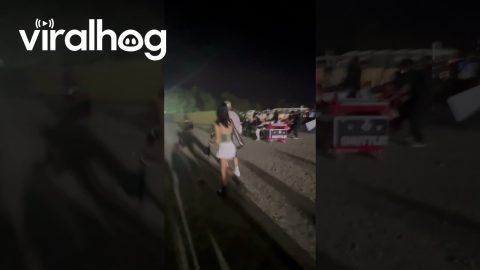 Hot Dog Vendors Allegedly Break Fence to Get Into Coachella || ViralHog