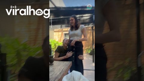Mother and Daughter Reunite After Years || ViralHog