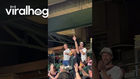 Crowd Goes Wild for Hot Dog Count || ViralHog