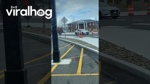 Roundabout Confusion || ViralHog