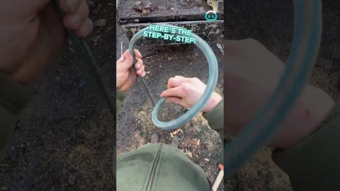 How To Tie A Constrictor Knot || ViralHog