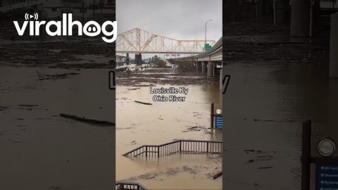 Major Ohio River Flooding In Louisville, Kentucky || ViralHog