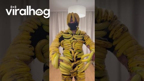 Banana Suit || ViralHog