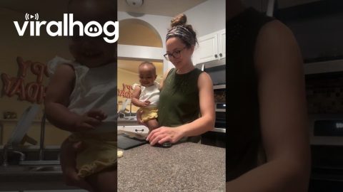 Baby Cracks Up Over Crushed Garlic || ViralHog