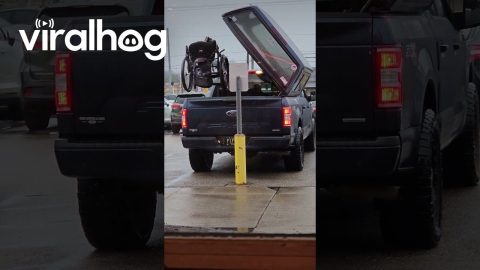 Mobility Lift Moves Wheelchair For Truck Driver || ViralHog