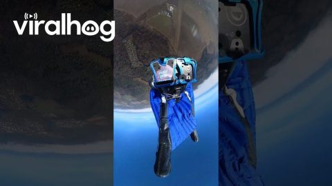 Wingsuit Skydiver Saved at the Last Second || ViralHog