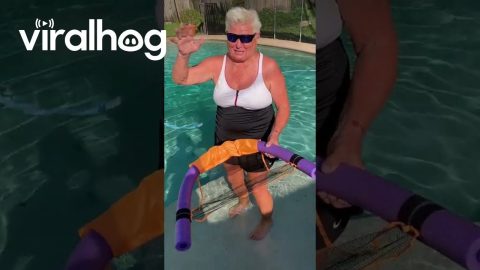 Pool Float Chair Needs Bigger Noodle || ViralHog