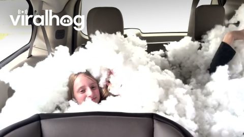 Dad Fills Car With Cotton || ViralHog